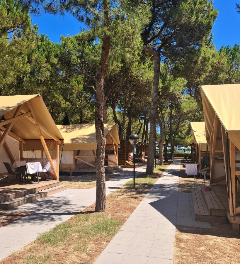 Small Camp Salinello Tortoreto Kültér fotó
